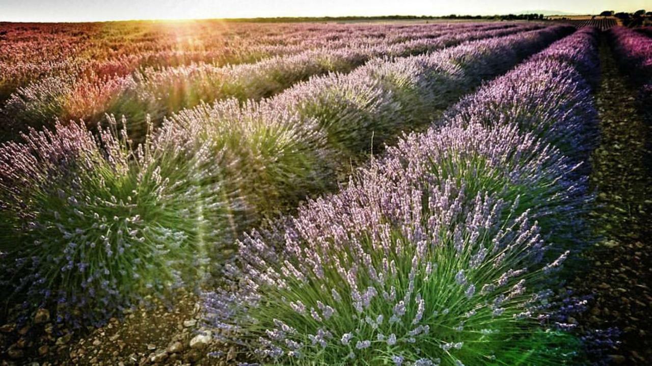 Penzion Casa La Nuri Utande Exteriér fotografie